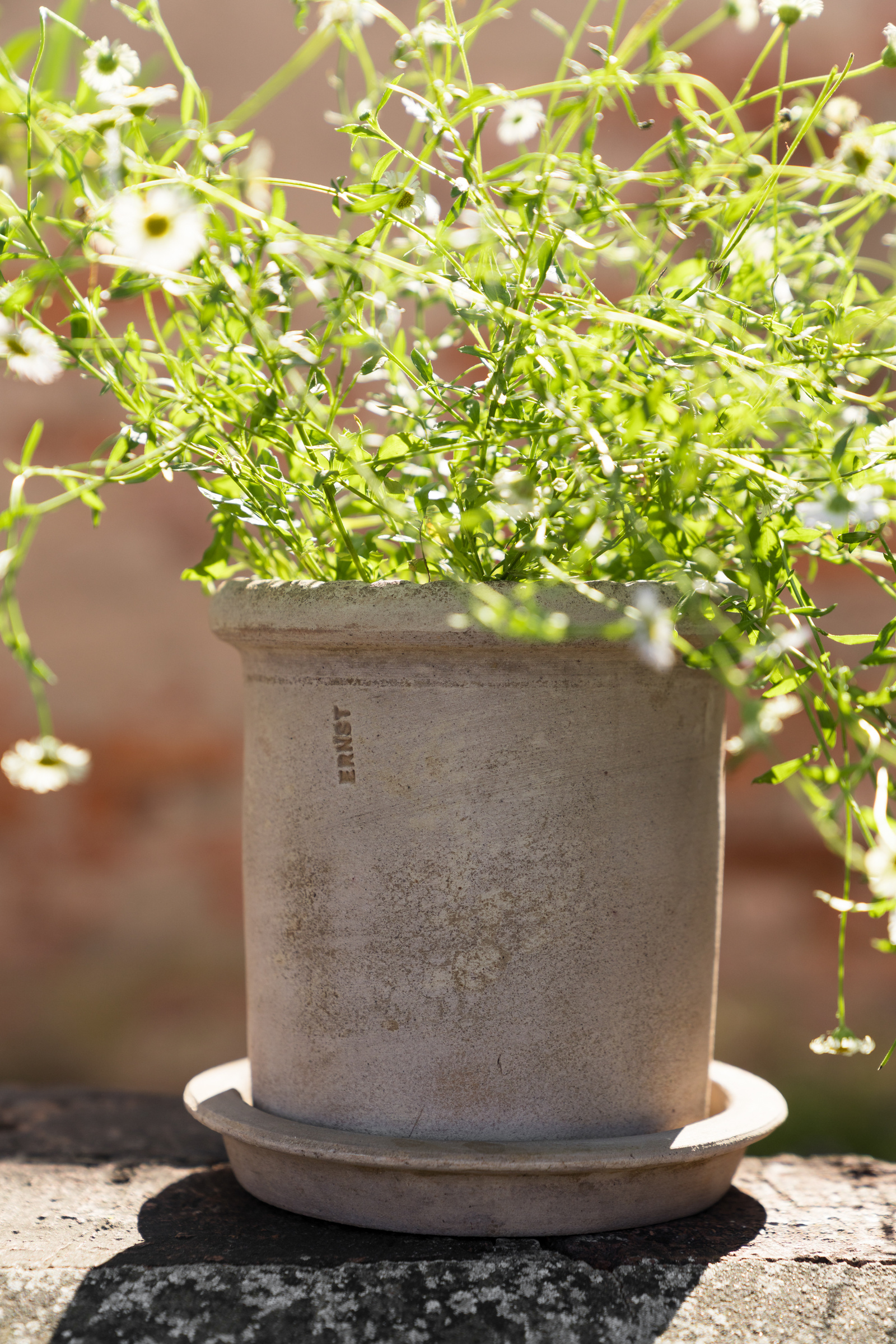 ERNST Pot with saucer - Terracotta 16x16 cm - 2