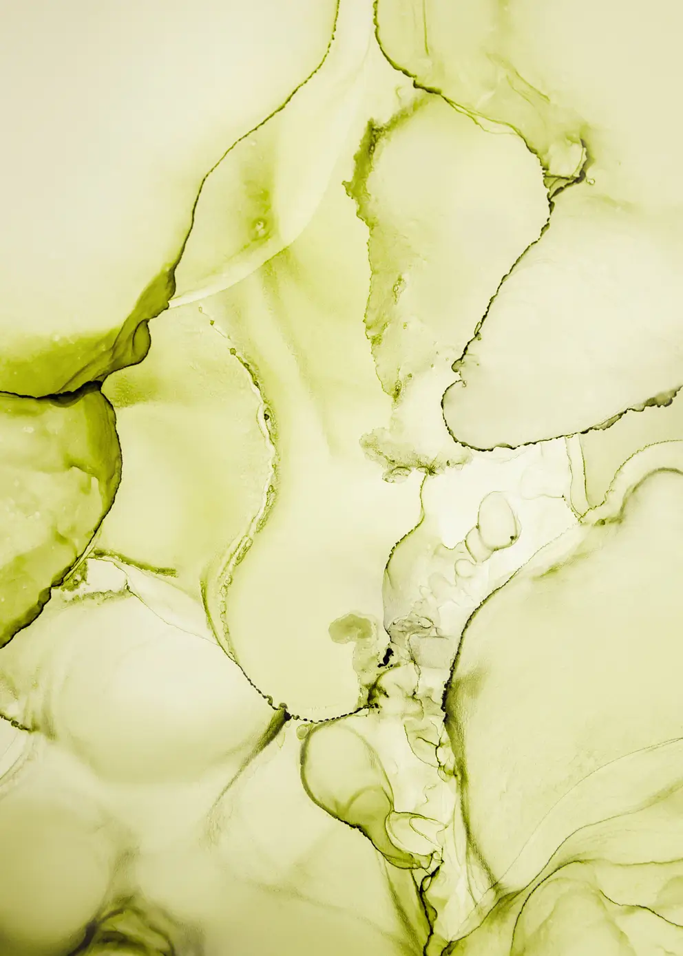 Lerretsbilde - Green Veins