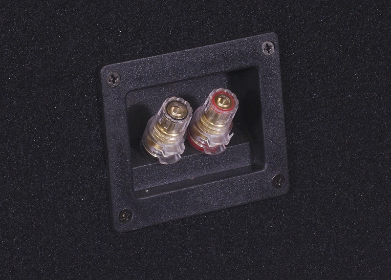 Auto-Connect 2x12 förstärkt tom baslåda - 2