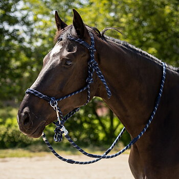Ridrepgrimma Aubree med tyglar, QHP