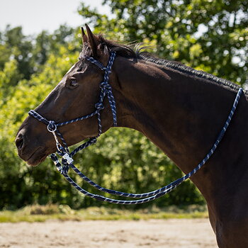Ridrepgrimma Aubree med tyglar, QHP