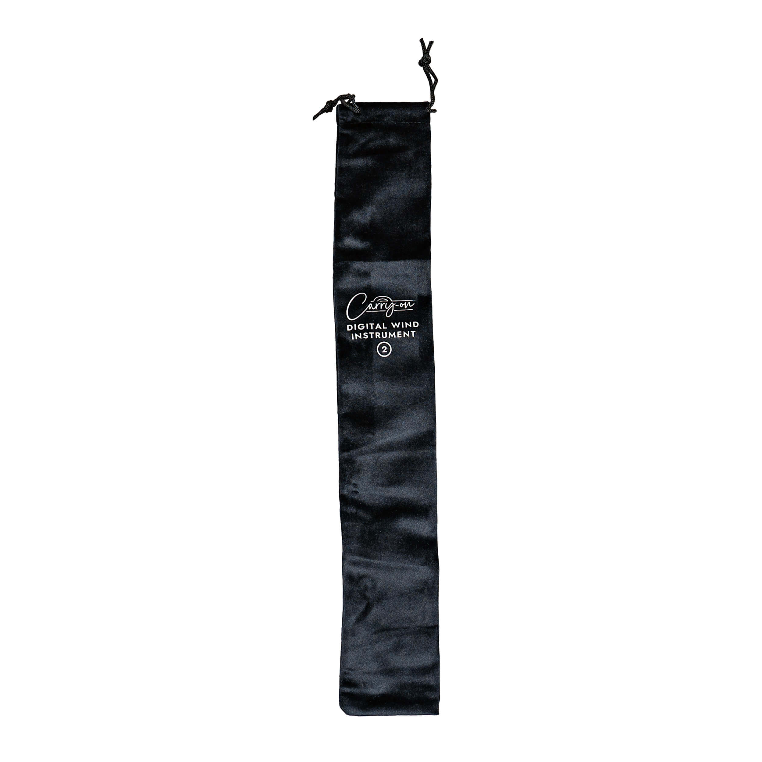 Carry-on by Blackstar Digital Wind Instrument 2 - 2