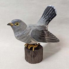 Cuckoo 18x18x7 cm