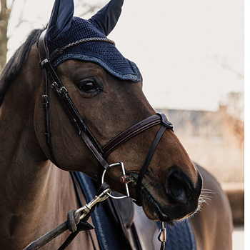 KENTUCKY HOOD WELLINGTON GLITTER STONE