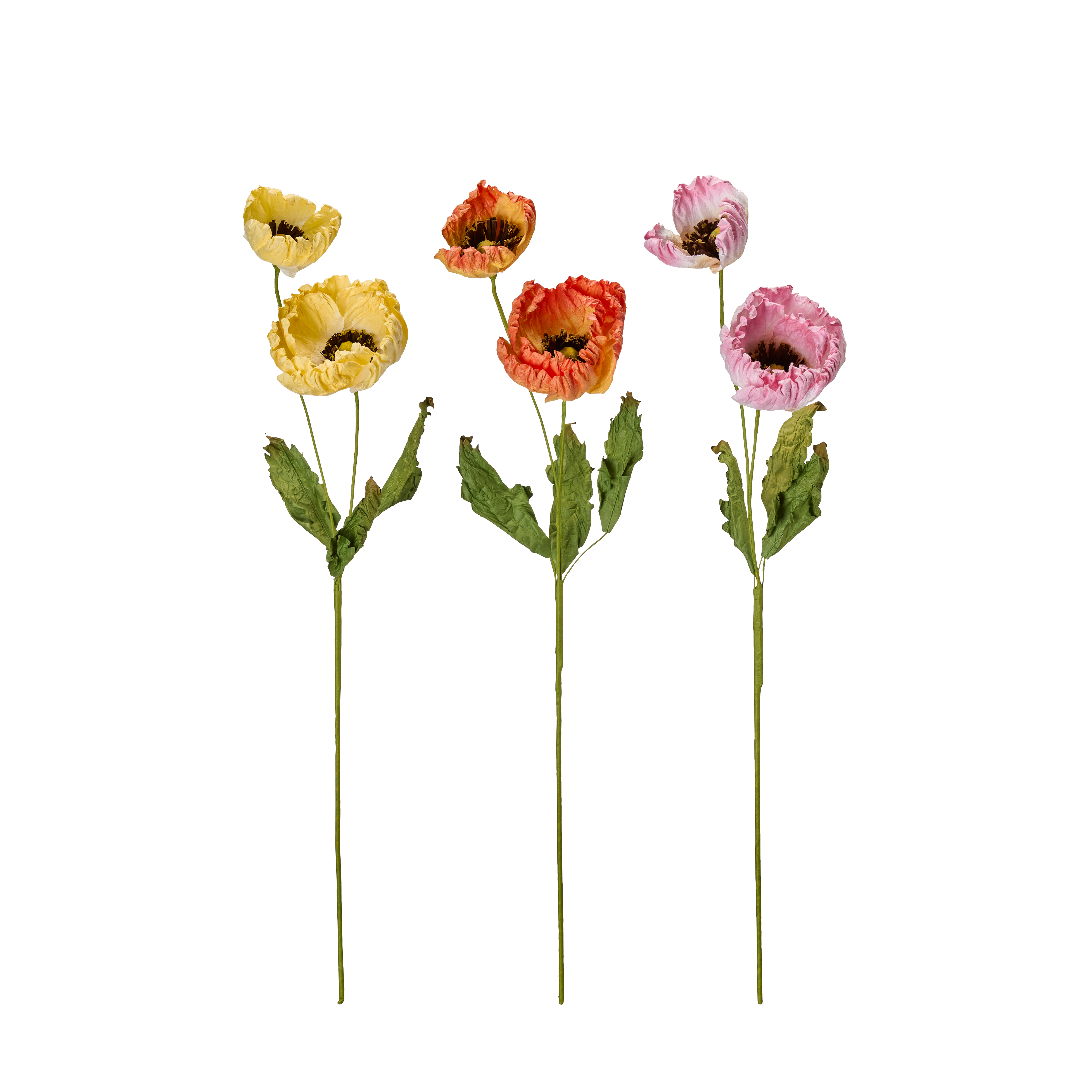 Evighetsblomma - VALLMO