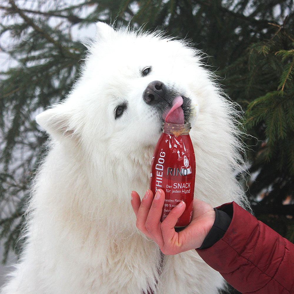 SmoothieDog - the healthy liquid dog snack - 5