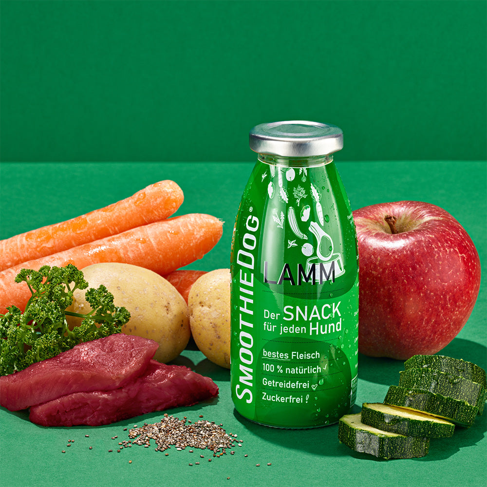 SmoothieDog - the healthy liquid dog snack - 6
