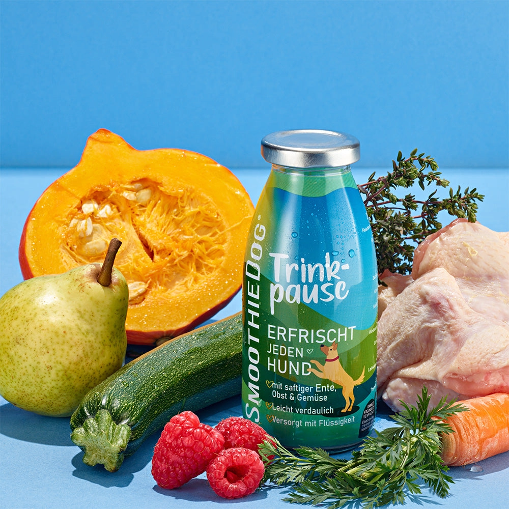 Smoothie for the dog monoprotein duck