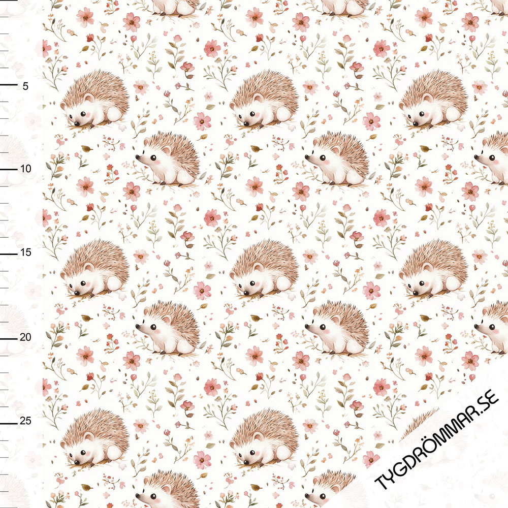 SPRING HEDGEHOG
