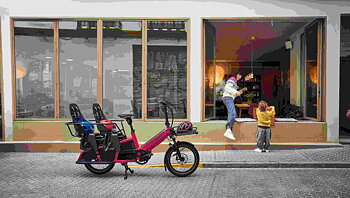 Riese & Müller Multicharger3 Mixte