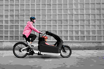 Riese & Müller Packster2 70