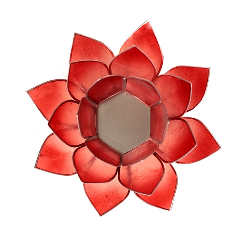 Lotuslyktan i snäckskal - Rosa / Röd - 2