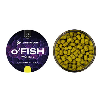 Mikados O'fish Wafters är smaksatta krokbeten för mete efter karp och vitfisk