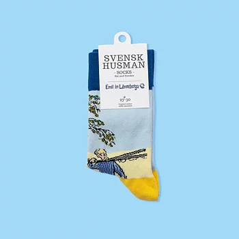 Kids socks Emil You & I Alfred 27-30