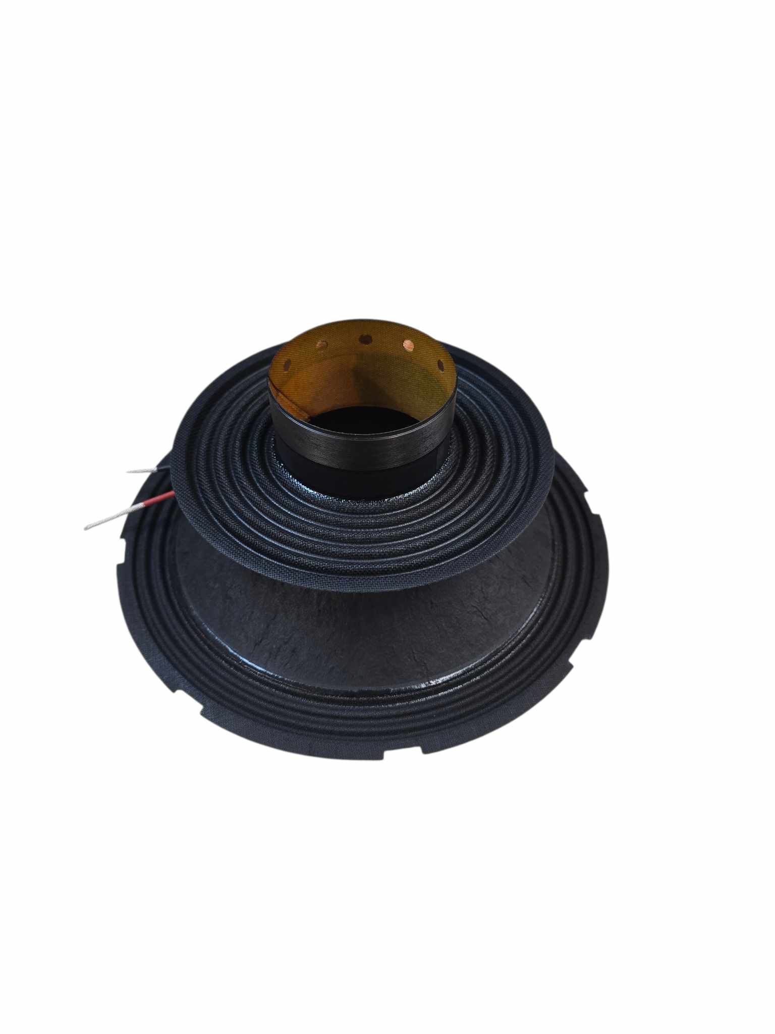 RJAUDIO RJP-10 RECONE - 5