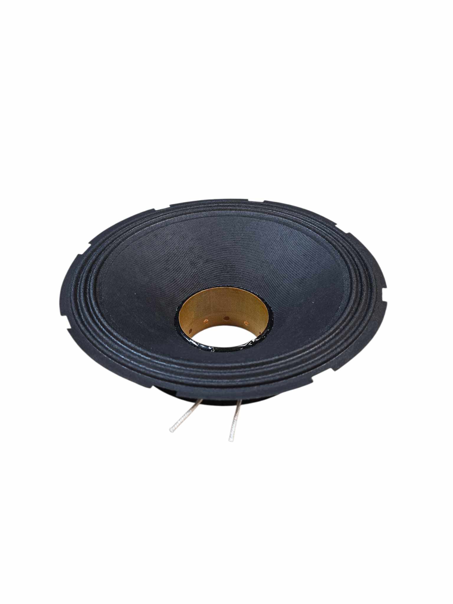 RJAUDIO RJP-10 RECONE - 4