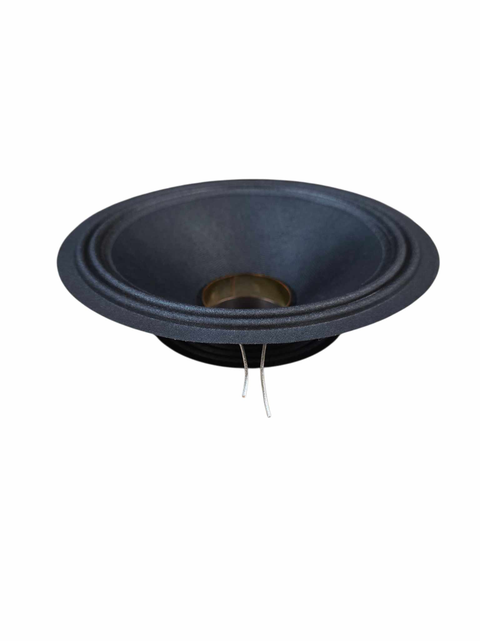 RJAUDIO RJM-10.2 RECONE - 2