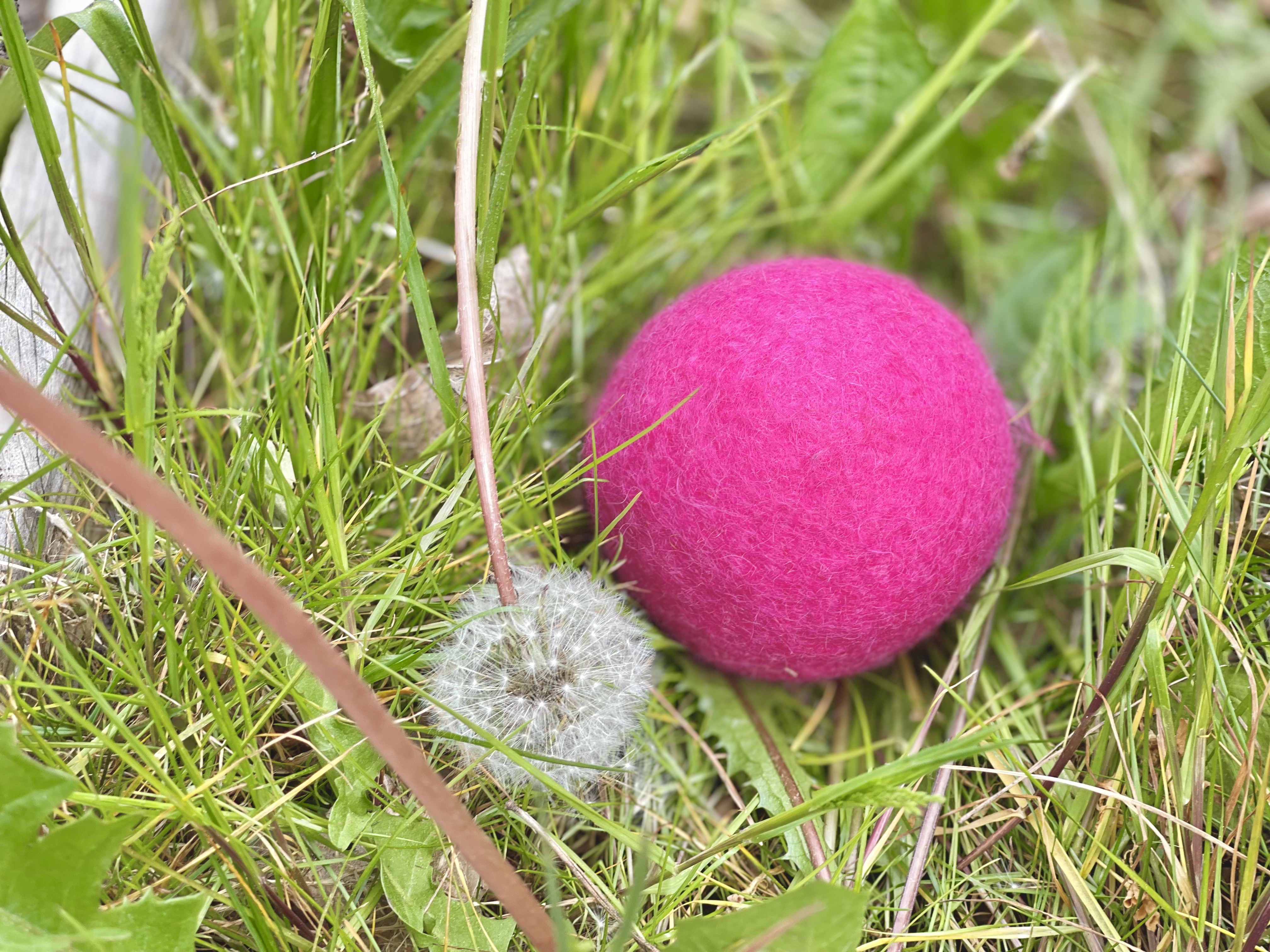 Boll - Cerise - Small - 6