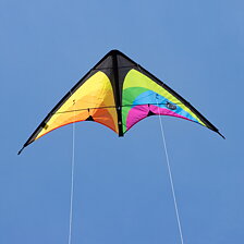 Tyro Rainbow