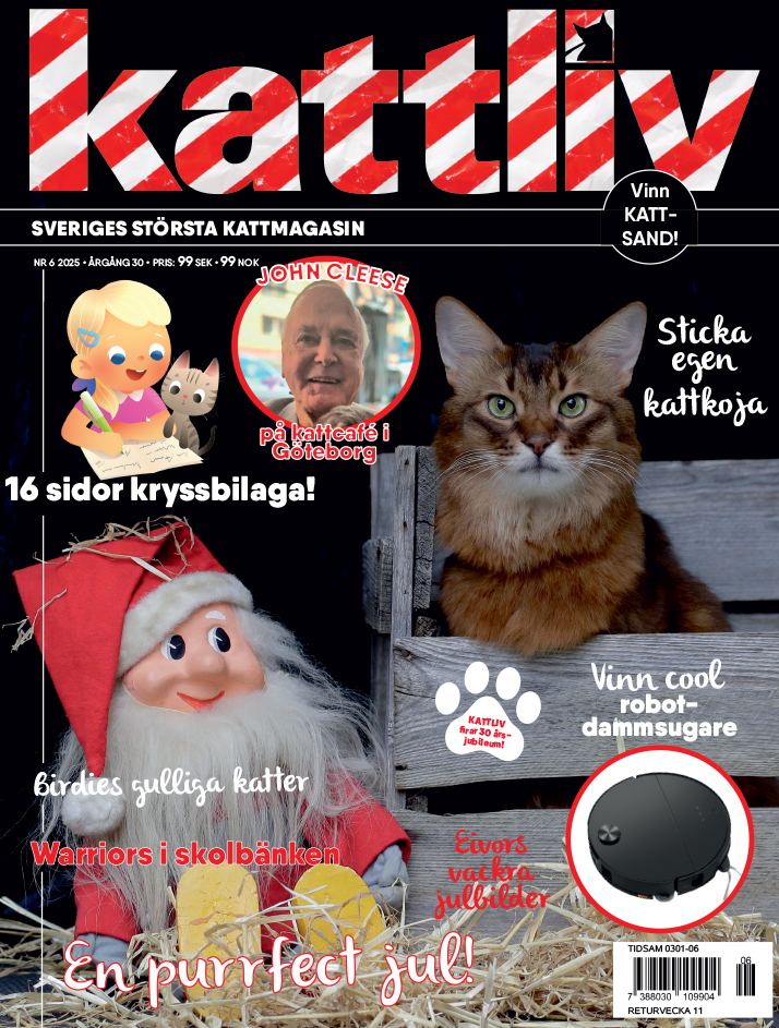 Lösnummer 6/2025