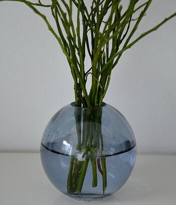 Vas i blått glas rund 7*7 cm