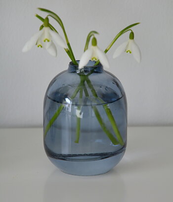 Vas i blått glas hög 6*8,3 cm