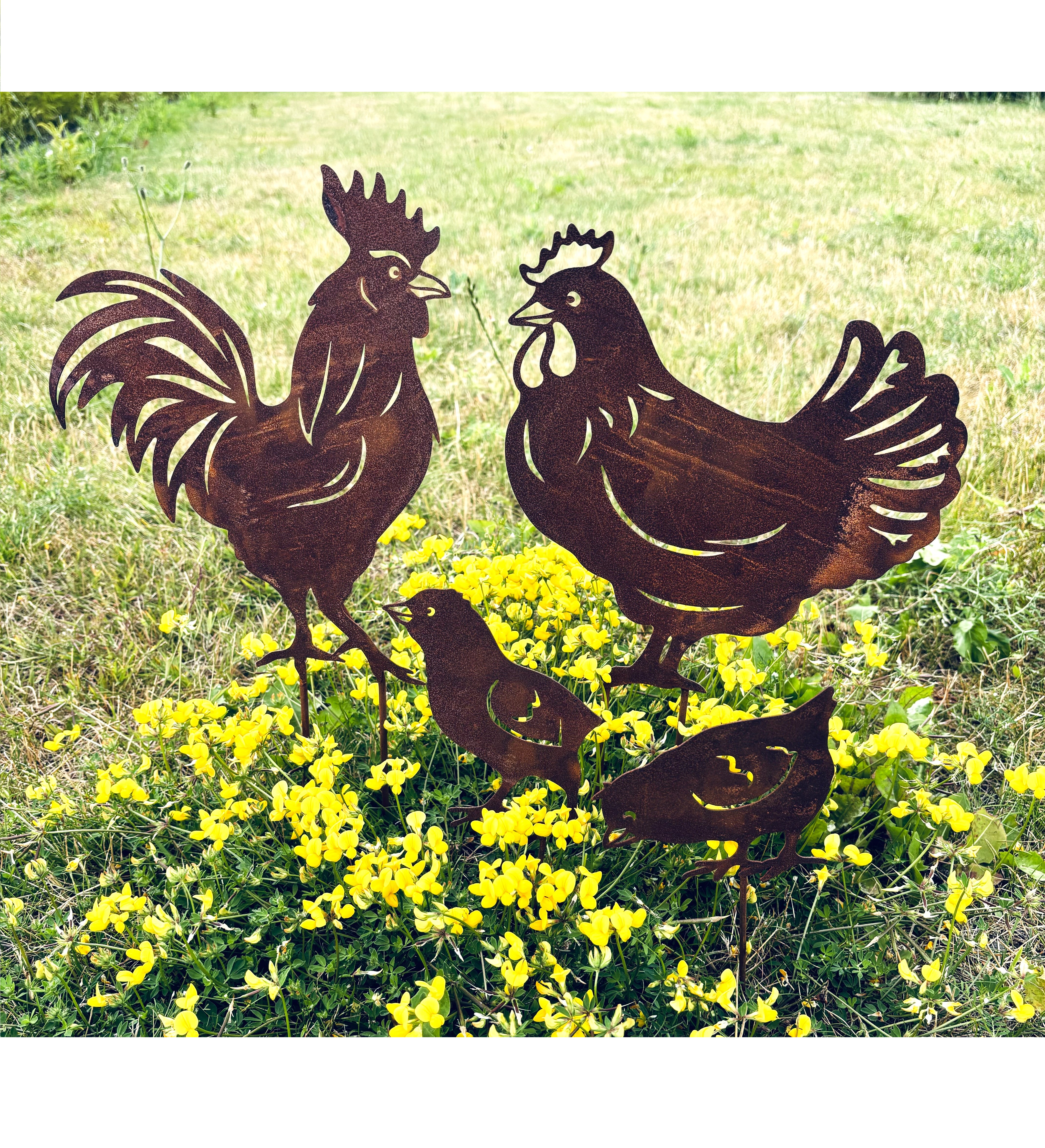 Hönsfamilj i rostig plåt. 1 höna, 1 tupp & 2 kycklingar. 23-42 cm