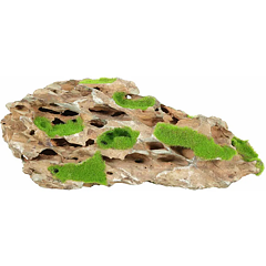 Zolux - Kipouss Stone S - Med levande frön