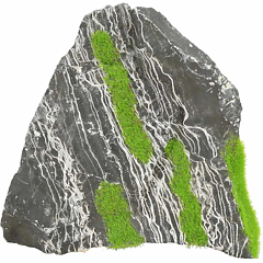 Zolux - Kipouss Two Coloured Stone M - Med levande frön