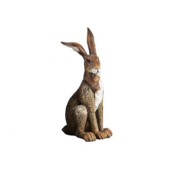Hare