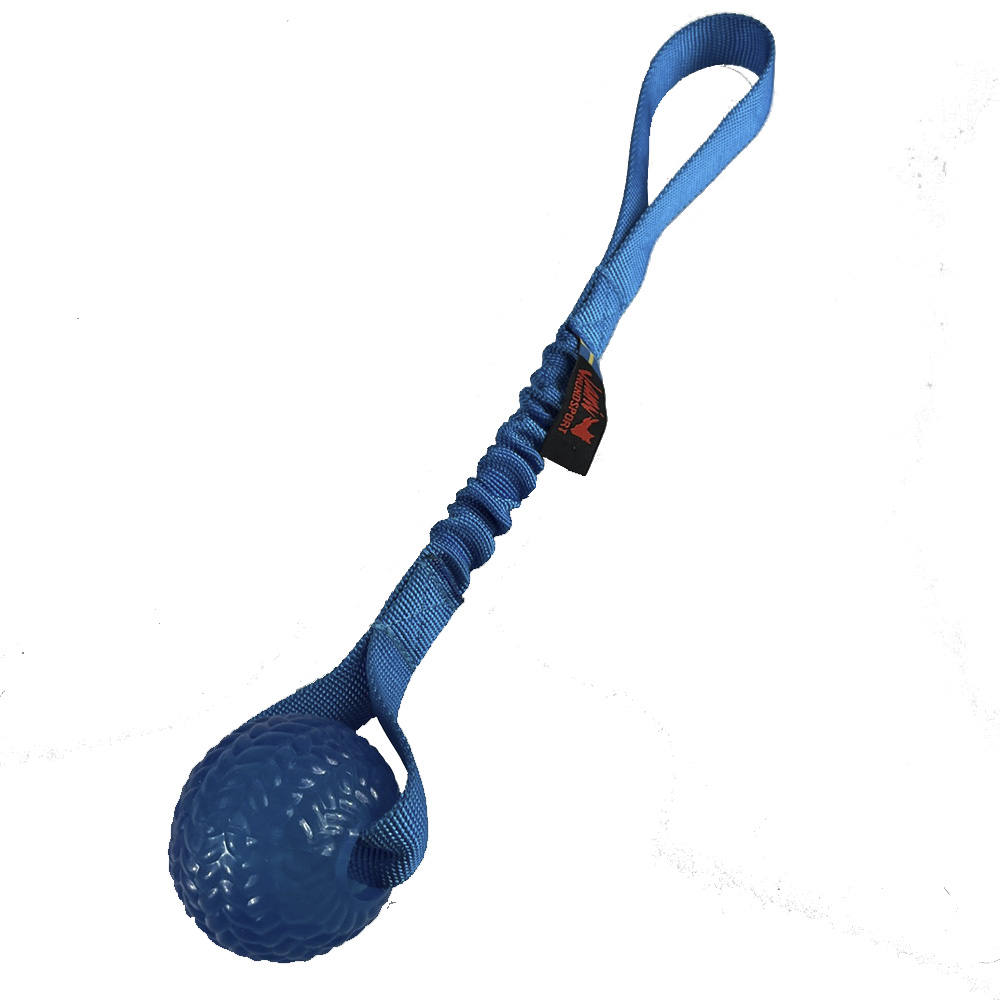 KarliX - Boll med expander