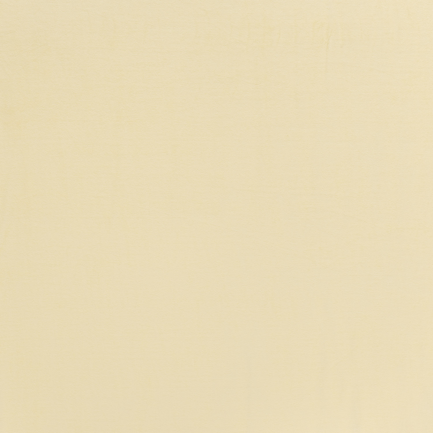 VELOUR - LIGHT YELLOW - 2