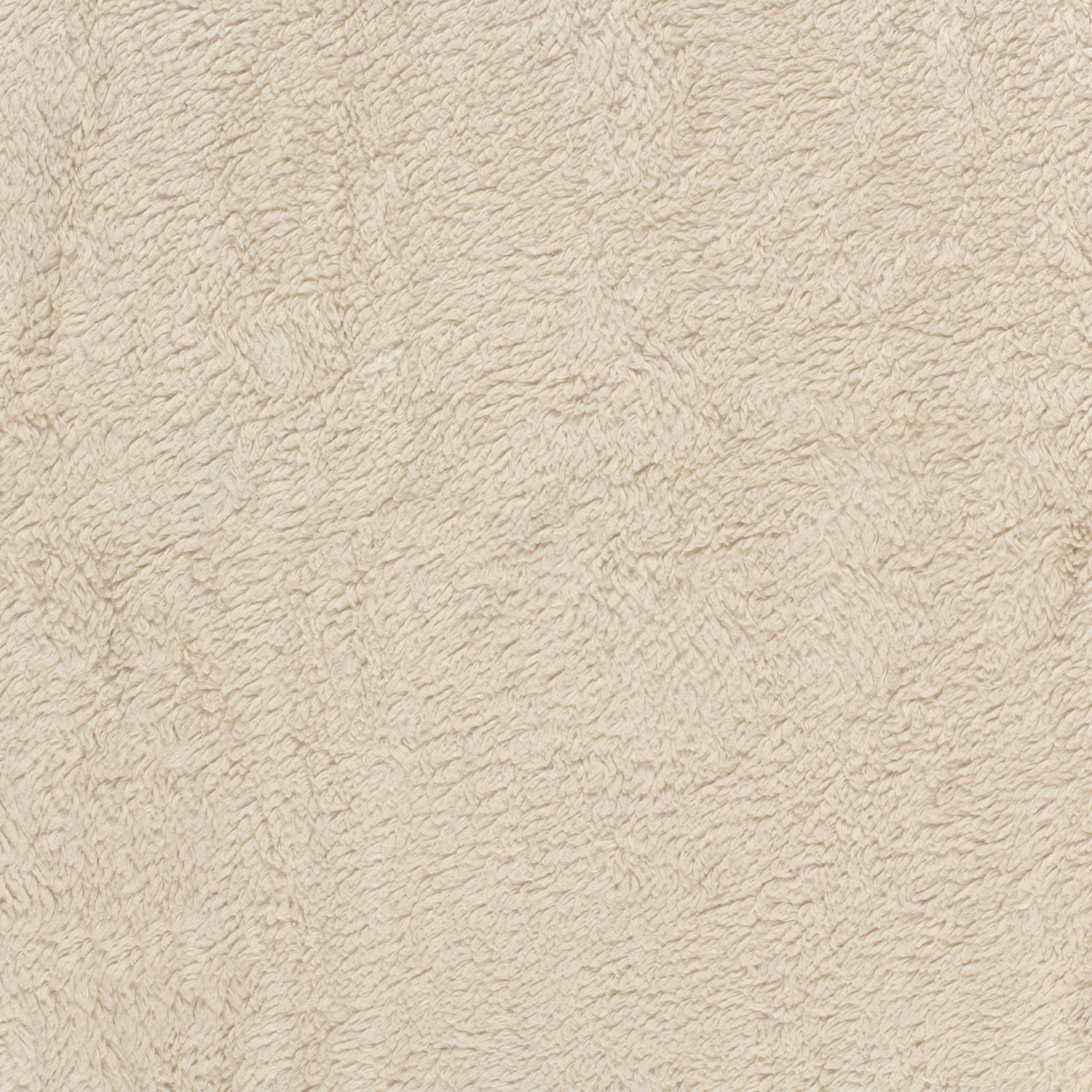 COTTON TEDDY - BEIGE - 2