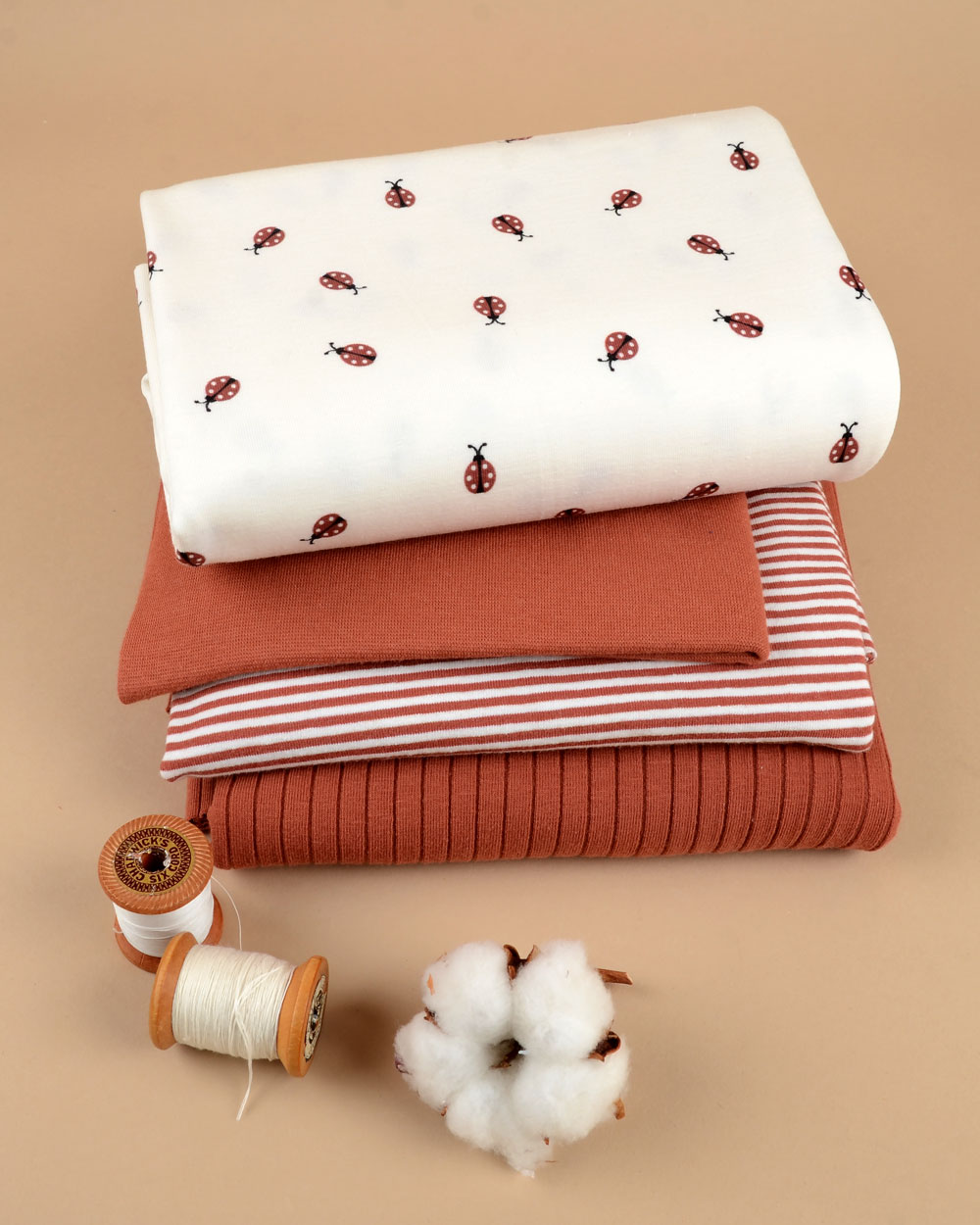 MINI LADYBUG - 2