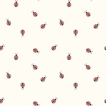 MINI LADYBUG