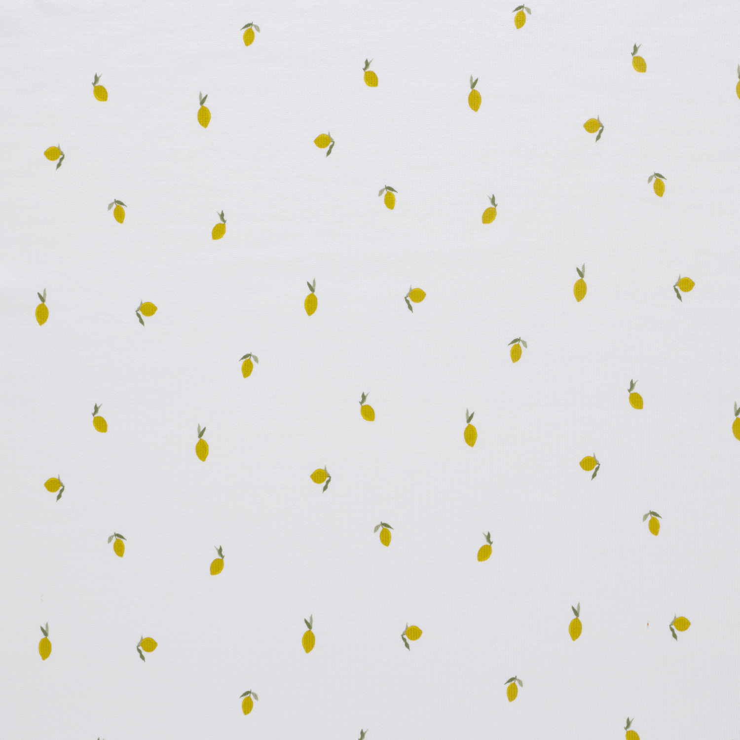 MINI LEMONS - RIBBED  - 3