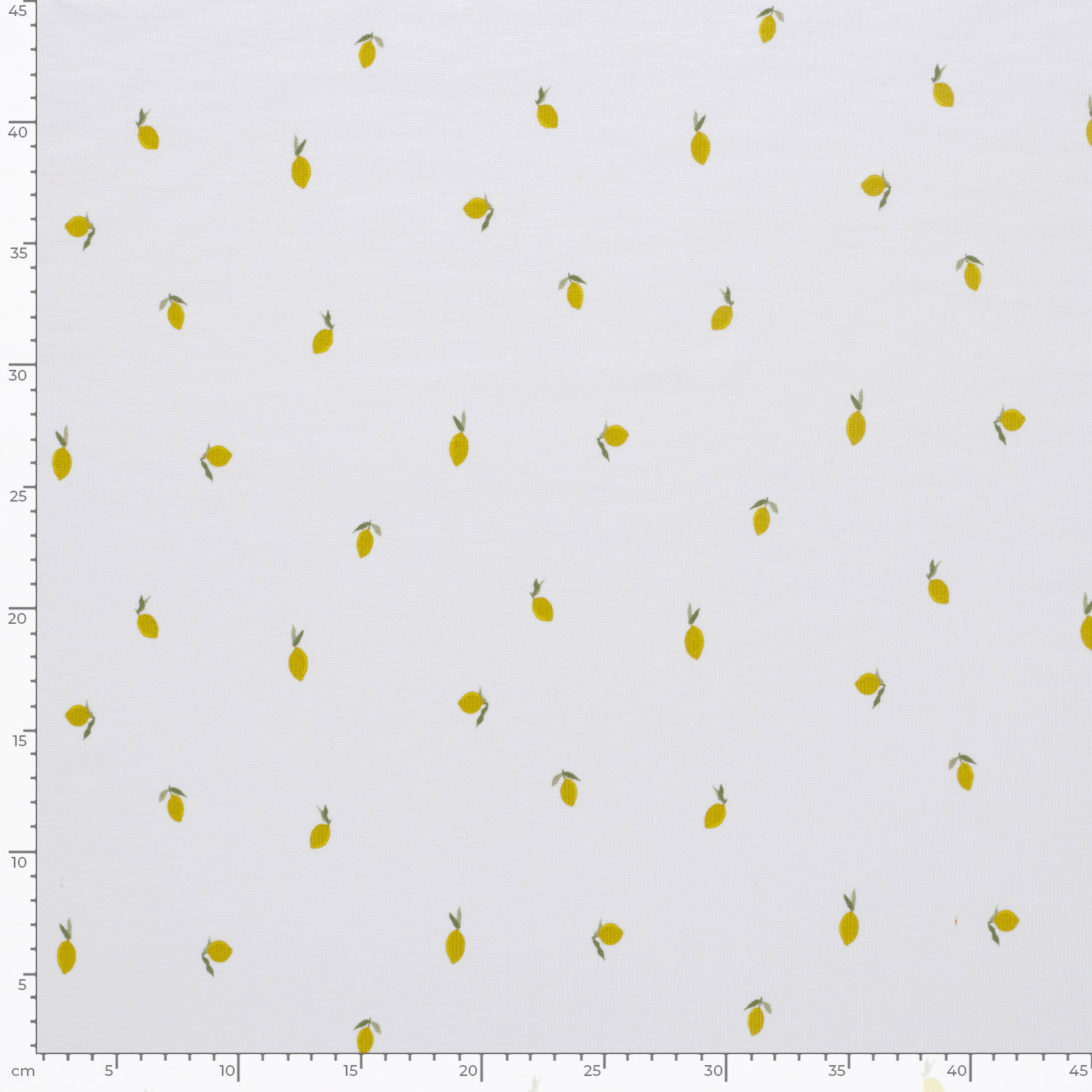 MINI LEMONS - RIBBED  - 6