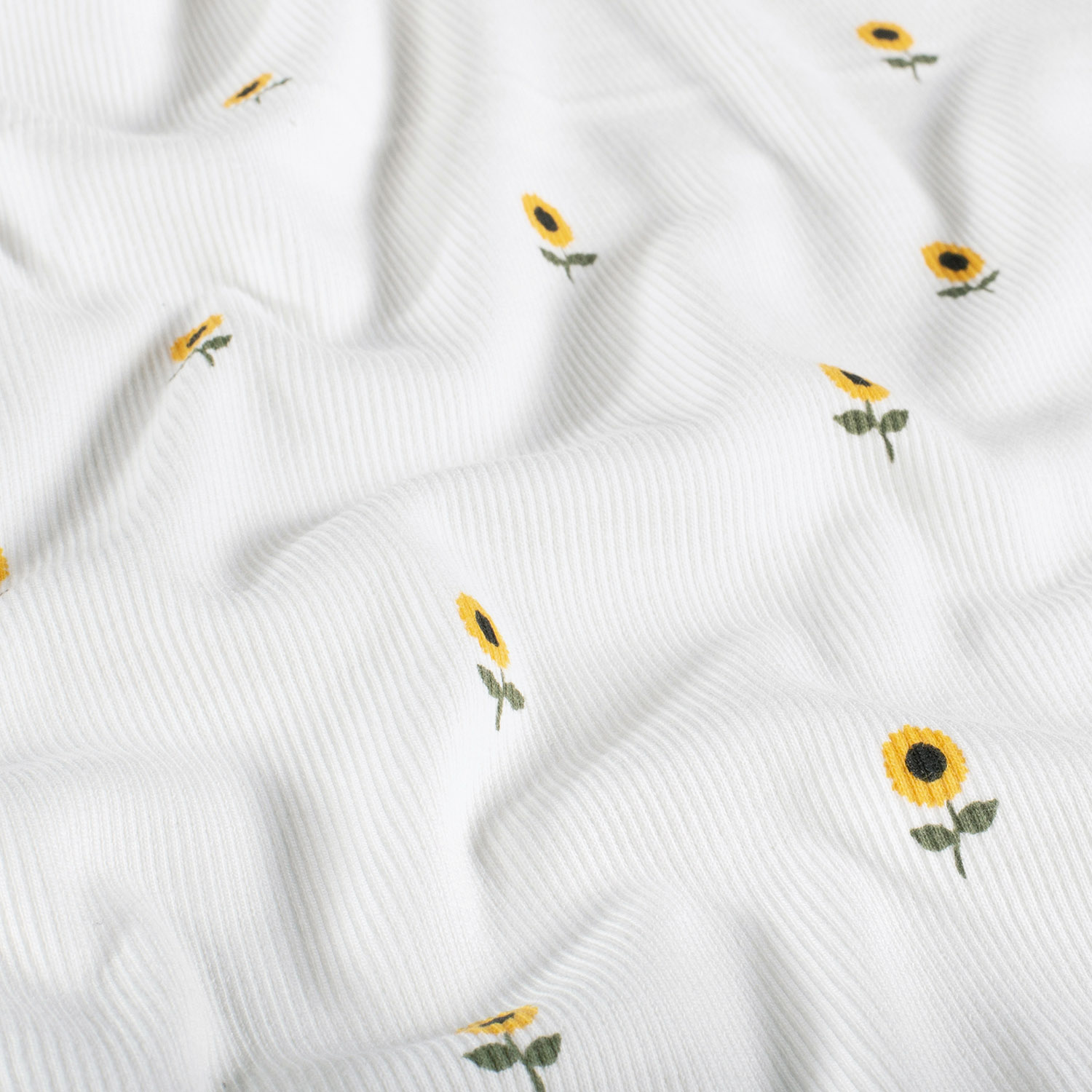 MINI SUNFLOWERS  - RIBBED 