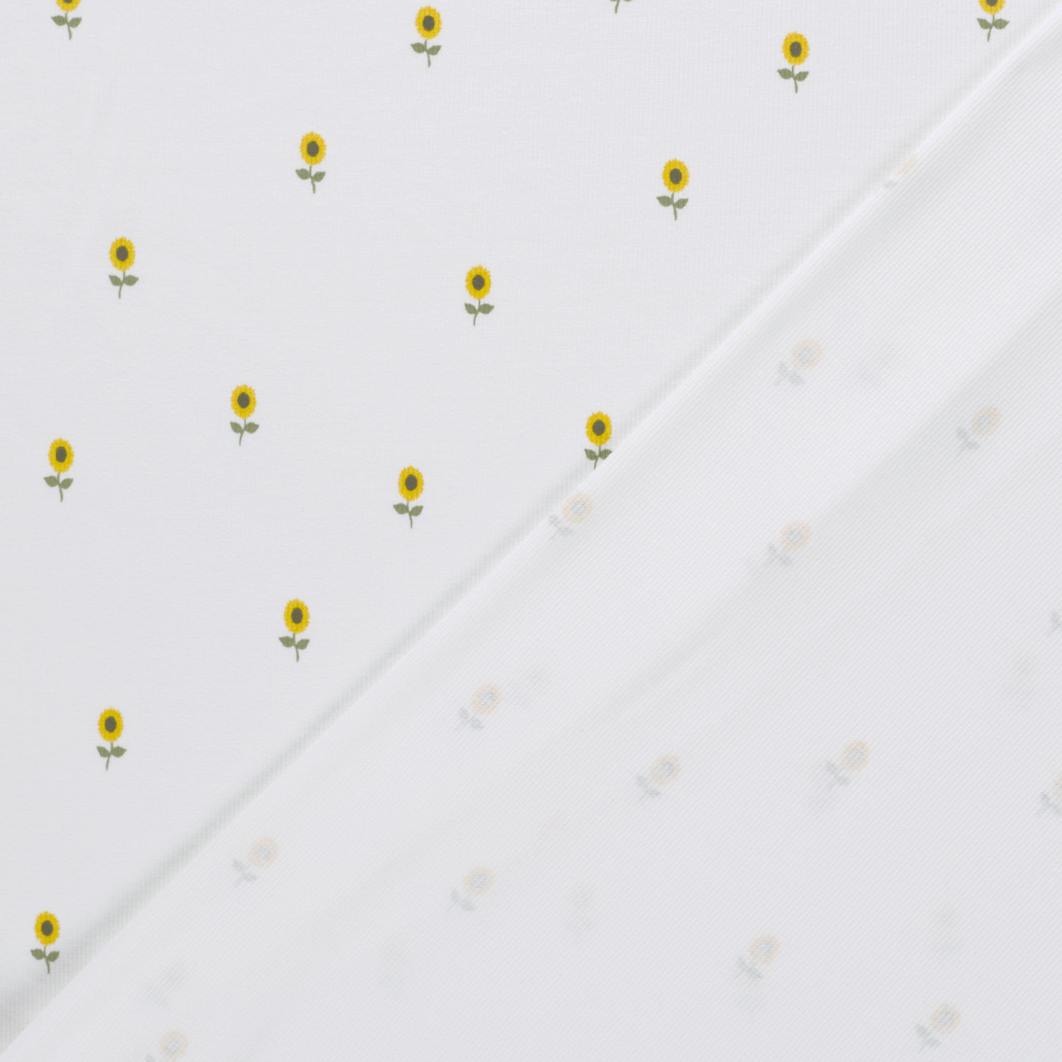 MINI SUNFLOWERS  - RIBBED  - 5