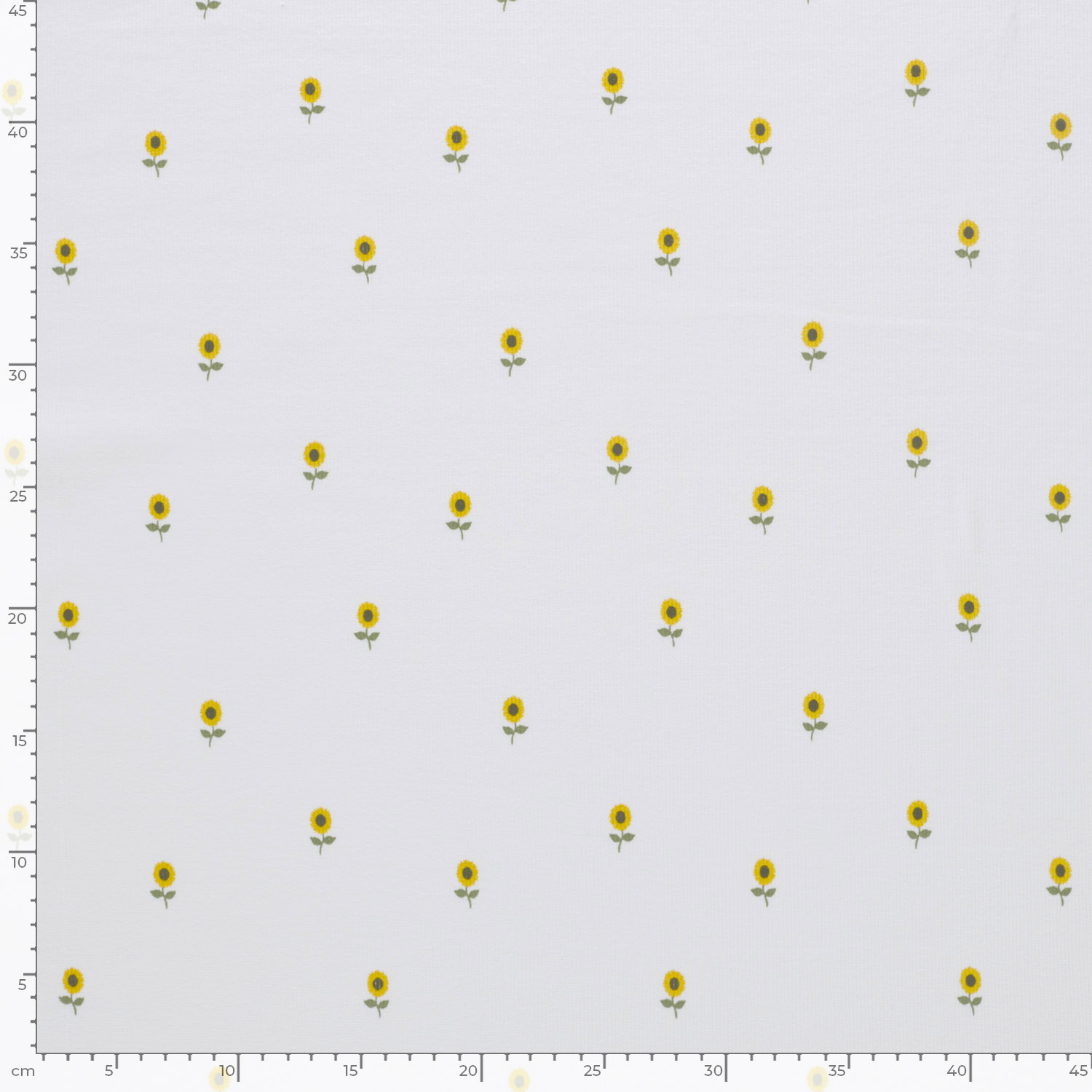 MINI SUNFLOWERS  - RIBBED  - 6