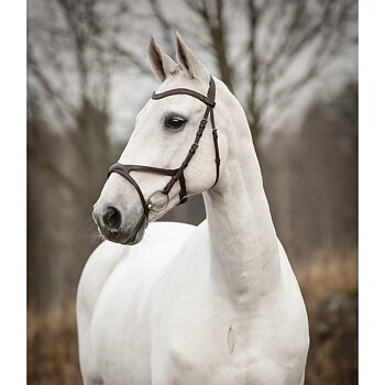 Knights Arthur anatomisk hodelag