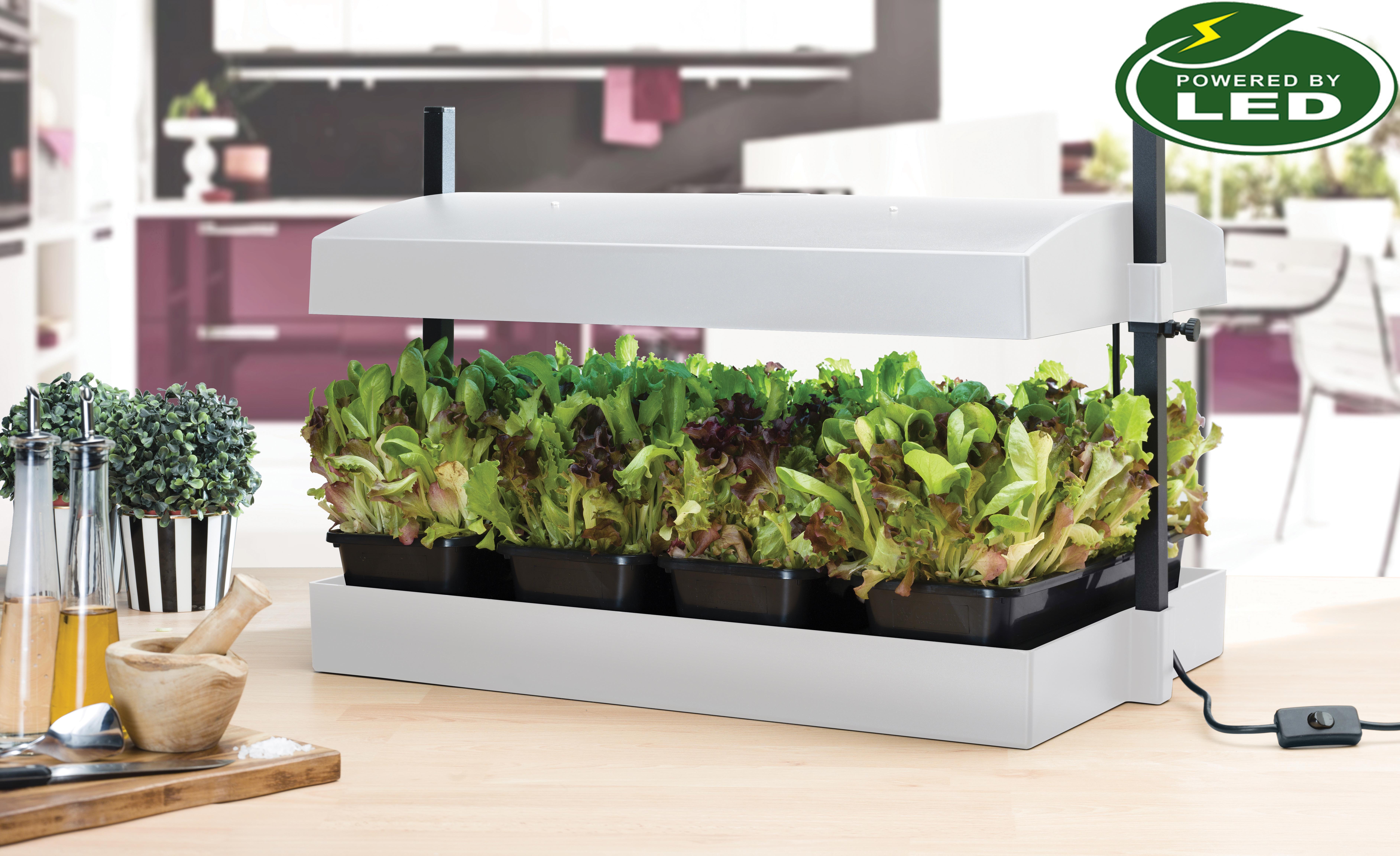 Växtbelysning -  Grow Light Garden - LED White
