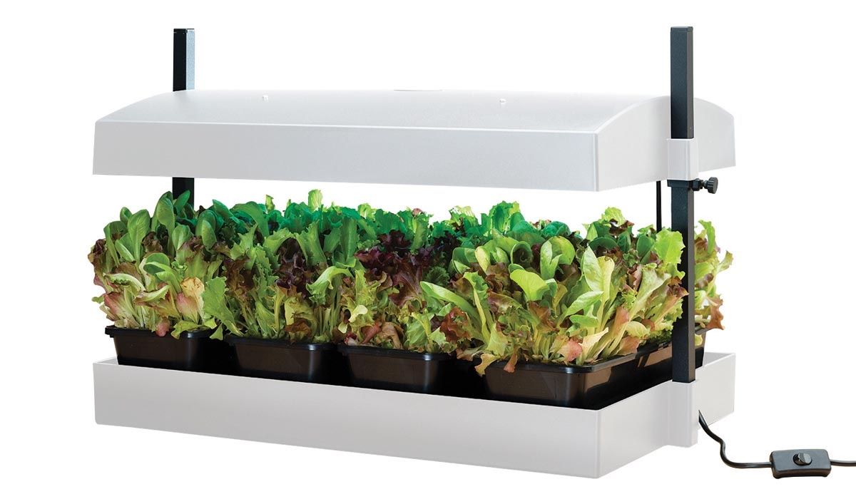 Växtbelysning -  Grow Light Garden - LED White - 5