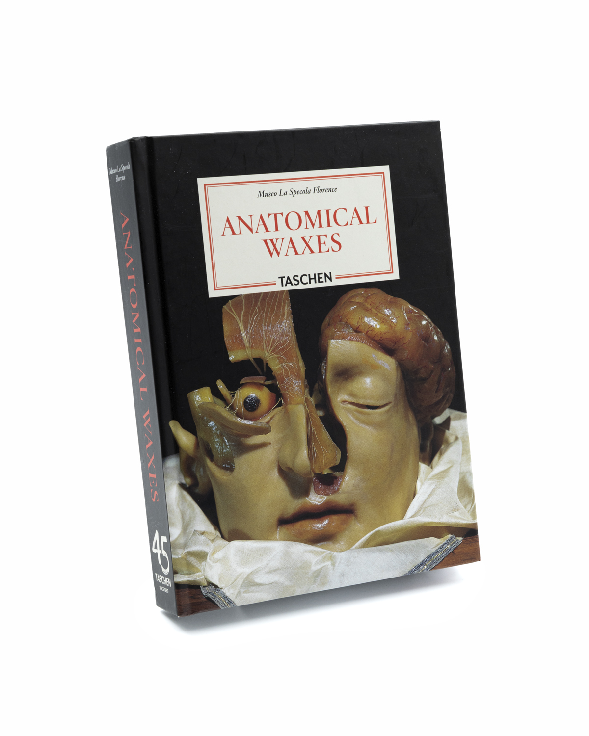 Anatomical Waxes