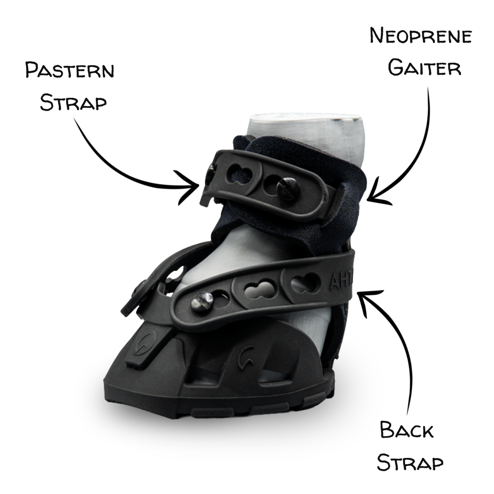 Flex Hoof Boots - FlexMini Ahti Boot