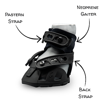 Flex Hoof Boots - FlexMini Ahti Boot