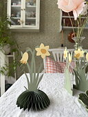 Honeycomb, påsklilja