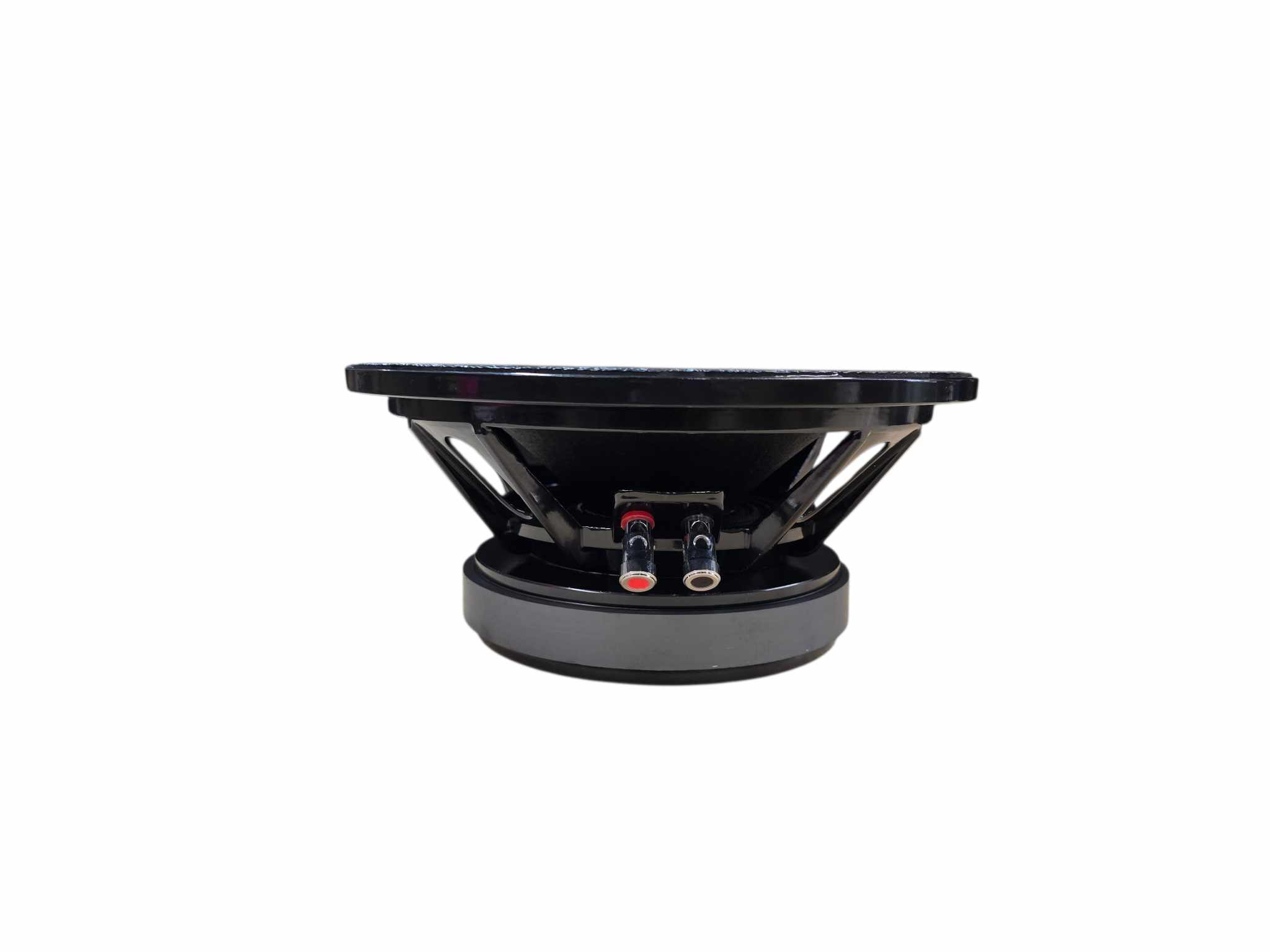 RJAUDIO RJM-10Bv2 - 5