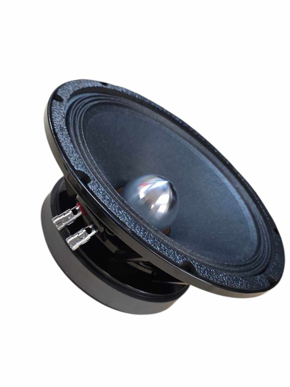 RJAUDIO RJM-10Bv2 - 3