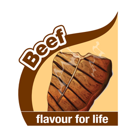 Nylabone Puppy Beef X-shape / XS - 4